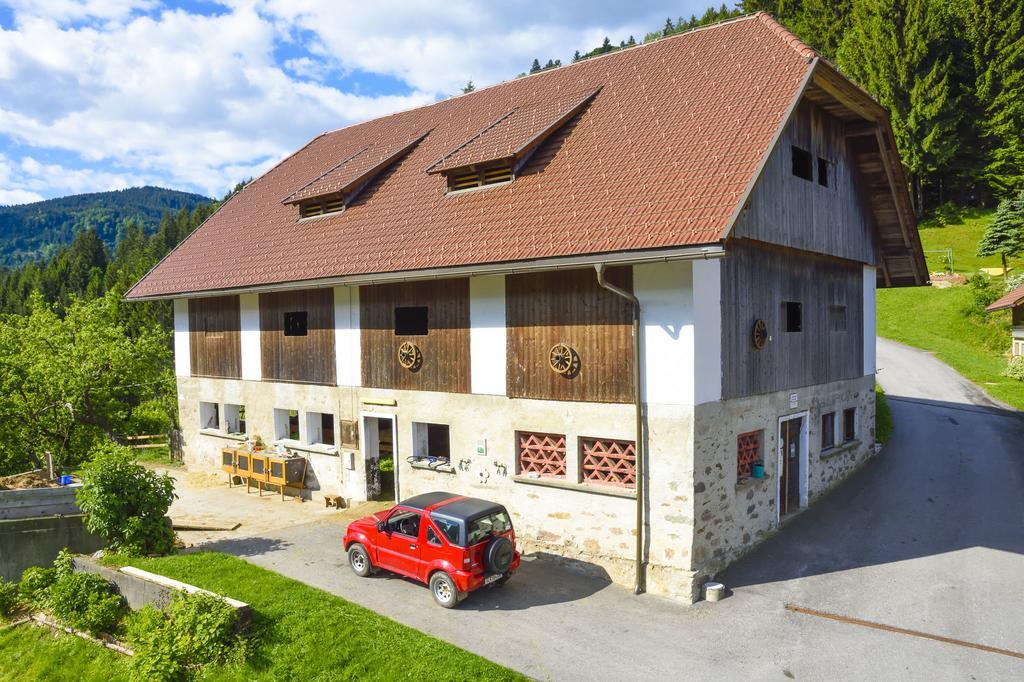 Hotel Gaestehaus Berger - Priglhof Treffen Esterno foto