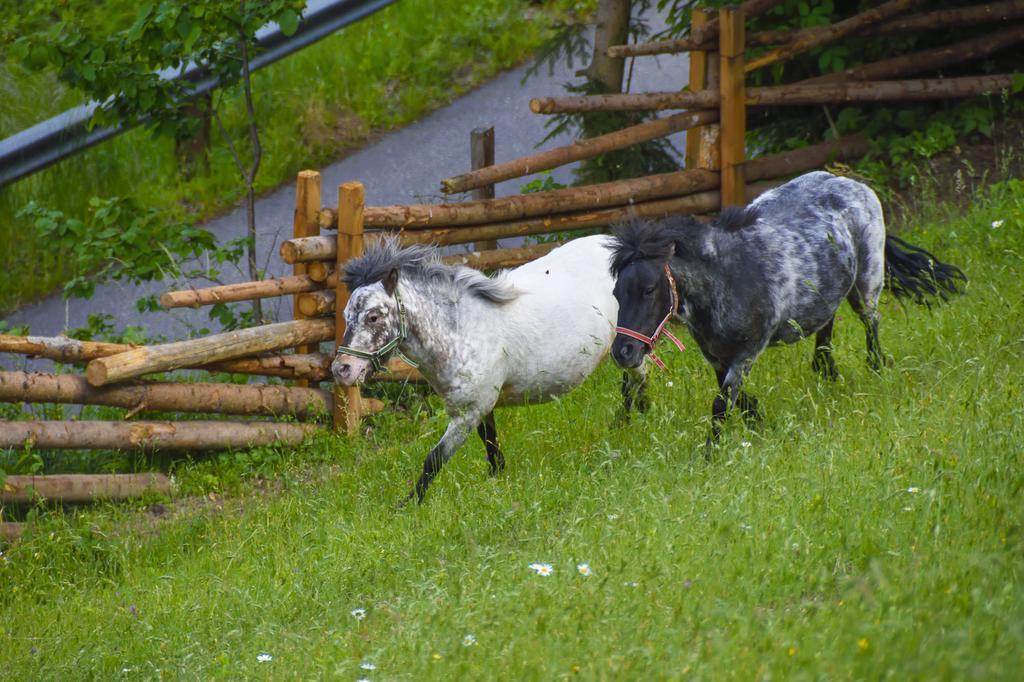 Hotel Gaestehaus Berger - Priglhof Treffen Esterno foto