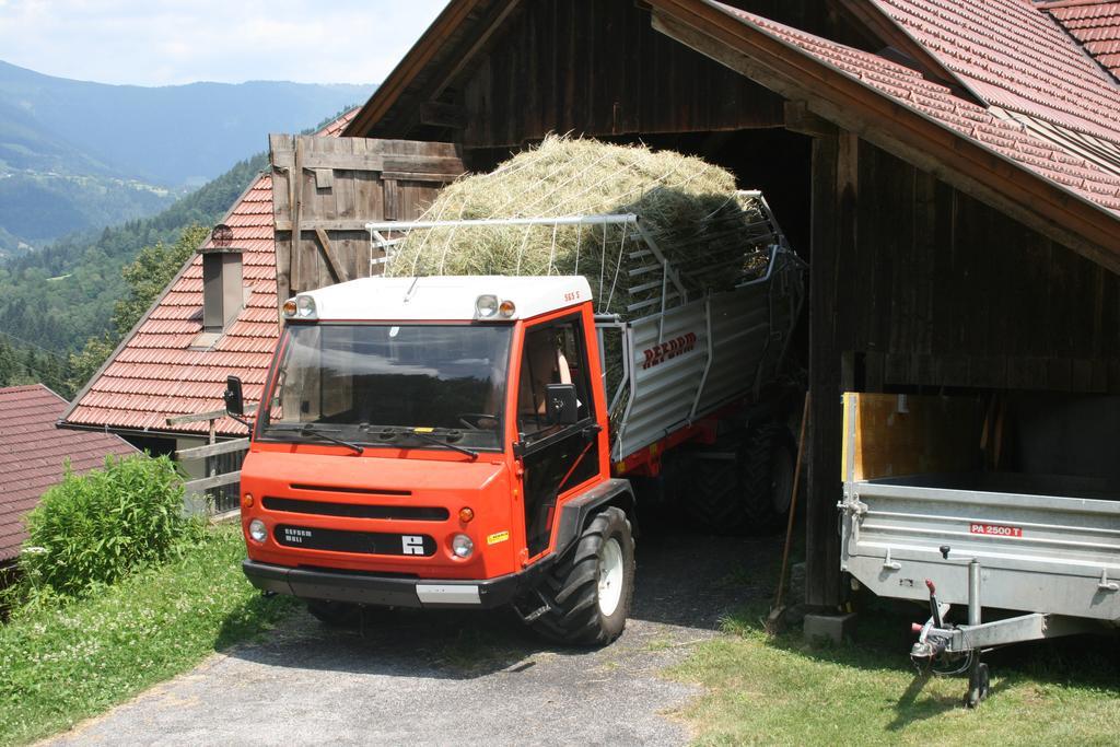 Hotel Gaestehaus Berger - Priglhof Treffen Esterno foto