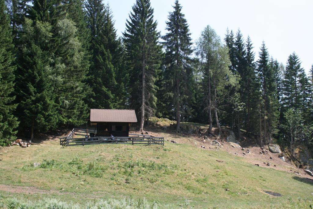 Hotel Gaestehaus Berger - Priglhof Treffen Esterno foto